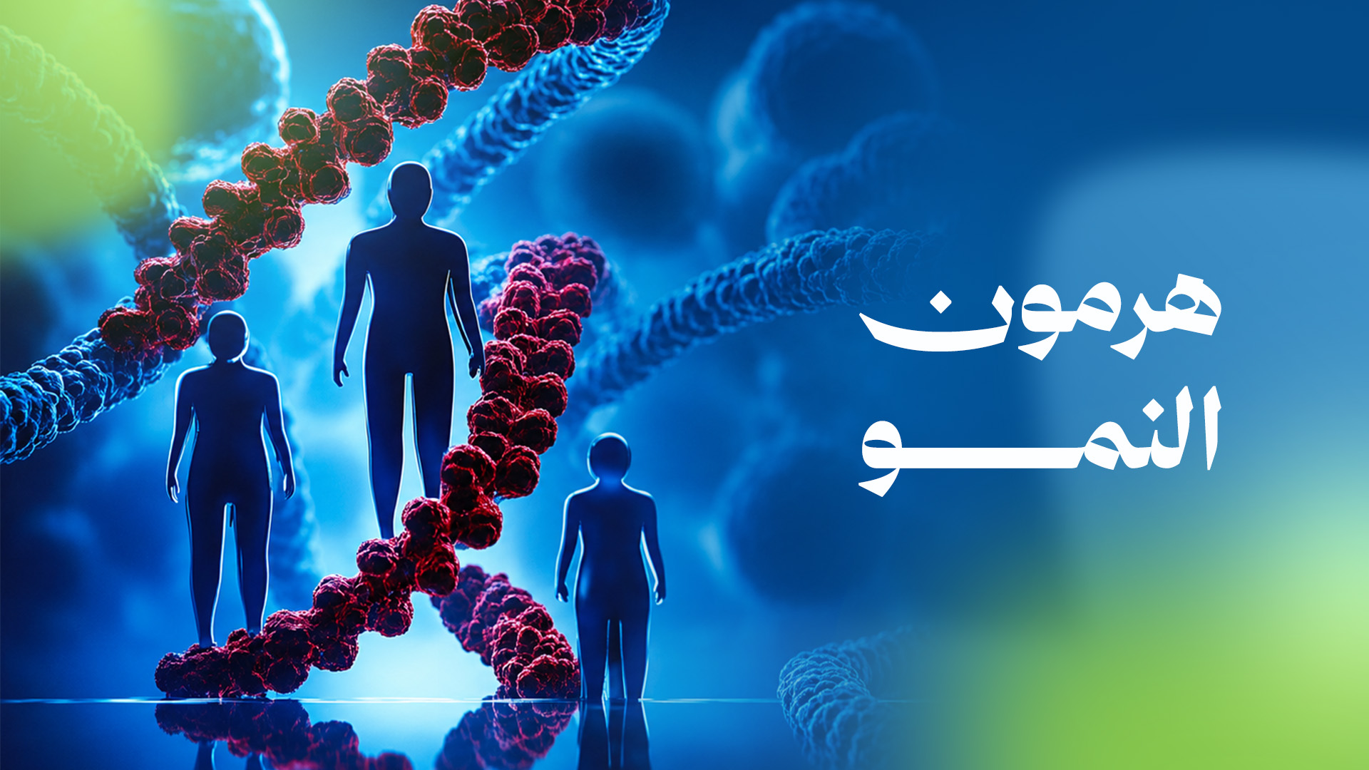هرمون النمو